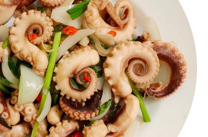 Bạch tuộc - top thực phẩm giàu Protein